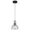 Westinghouse Westinghouse Fiona Oil Rubbed Bronze Clear 1 lights Mini Pendant Light 61008 - alternate 4